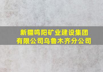 新疆鸣阳矿业建设集团有限公司乌鲁木齐分公司