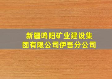 新疆鸣阳矿业建设集团有限公司伊吾分公司