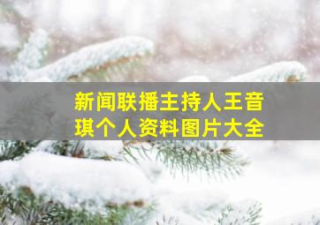 新闻联播主持人王音琪个人资料图片大全