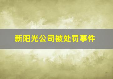 新阳光公司被处罚事件