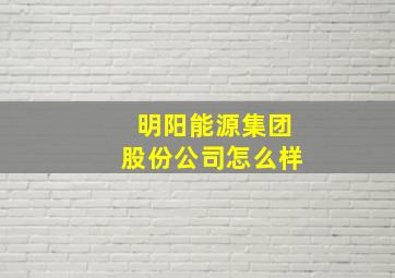 明阳能源集团股份公司怎么样