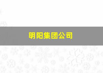 明阳集团公司