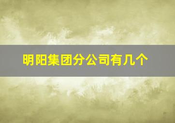 明阳集团分公司有几个