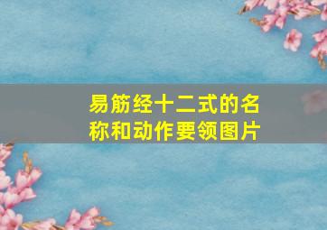 易筋经十二式的名称和动作要领图片