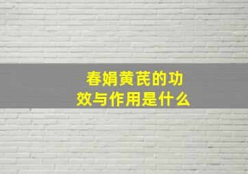 春娟黄芪的功效与作用是什么