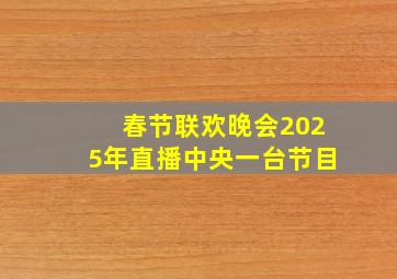 春节联欢晚会2025年直播中央一台节目