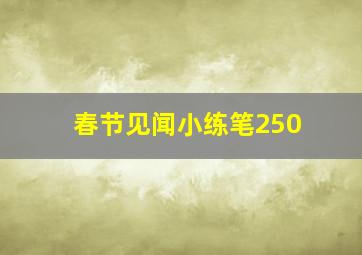 春节见闻小练笔250