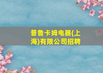 普鲁卡姆电器(上海)有限公司招聘