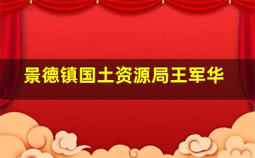 景德镇国土资源局王军华