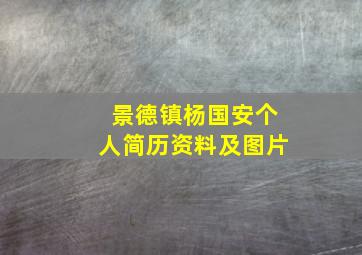 景德镇杨国安个人简历资料及图片