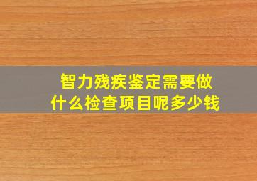 智力残疾鉴定需要做什么检查项目呢多少钱