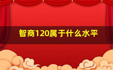 智商120属于什么水平