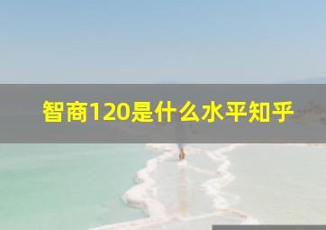 智商120是什么水平知乎