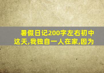 暑假日记200字左右初中这天,我独自一人在家,因为