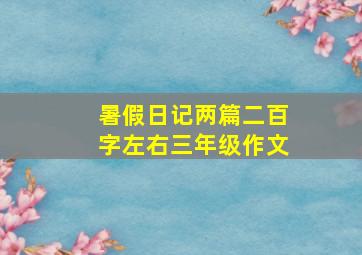 暑假日记两篇二百字左右三年级作文