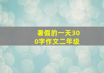 暑假的一天300字作文二年级