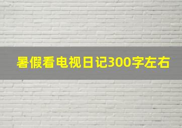 暑假看电视日记300字左右