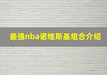 最强nba诺维斯基组合介绍