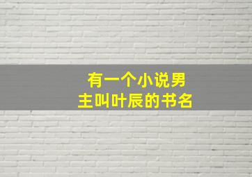 有一个小说男主叫叶辰的书名