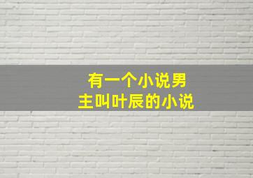 有一个小说男主叫叶辰的小说