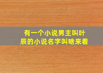 有一个小说男主叫叶辰的小说名字叫啥来着