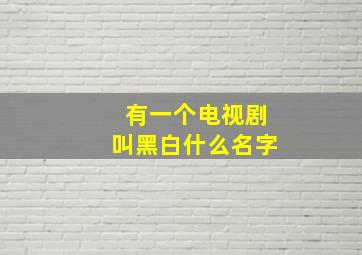 有一个电视剧叫黑白什么名字