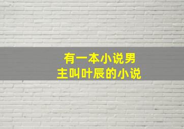 有一本小说男主叫叶辰的小说