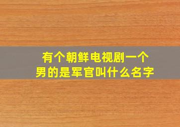 有个朝鲜电视剧一个男的是军官叫什么名字