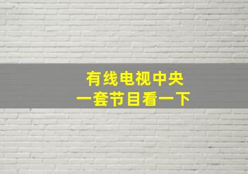 有线电视中央一套节目看一下