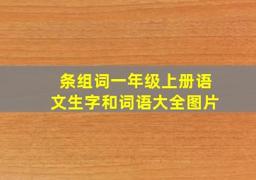 条组词一年级上册语文生字和词语大全图片