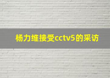 杨力维接受cctv5的采访