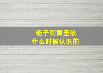 杨子和黄圣依什么时候认识的