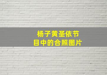 杨子黄圣依节目中的合照图片