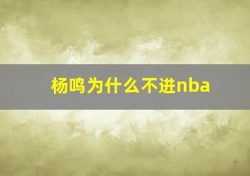 杨鸣为什么不进nba