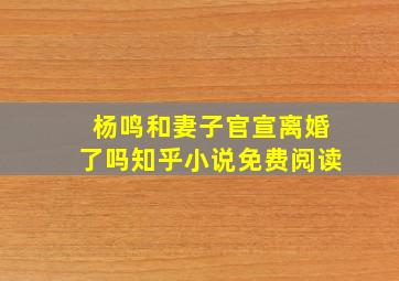 杨鸣和妻子官宣离婚了吗知乎小说免费阅读