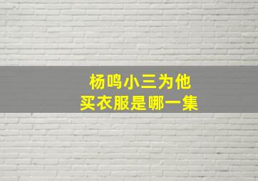 杨鸣小三为他买衣服是哪一集