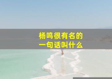 杨鸣很有名的一句话叫什么