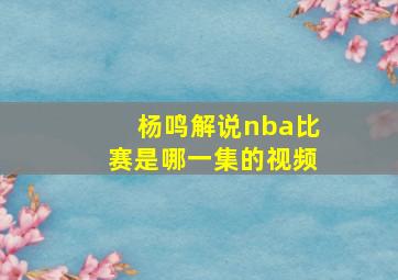 杨鸣解说nba比赛是哪一集的视频