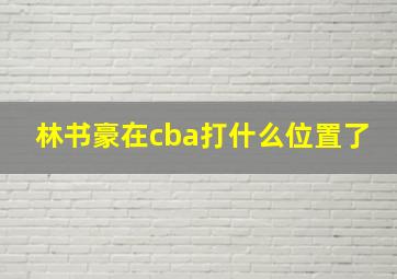 林书豪在cba打什么位置了