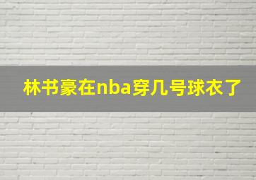 林书豪在nba穿几号球衣了