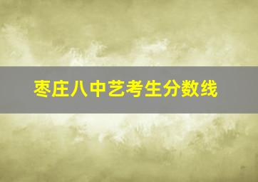 枣庄八中艺考生分数线