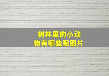 树林里的小动物有哪些呢图片