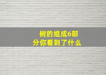 树的组成6部分你看到了什么