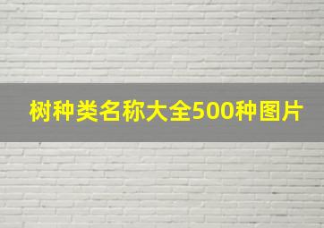 树种类名称大全500种图片