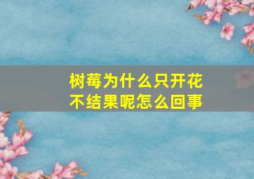 树莓为什么只开花不结果呢怎么回事