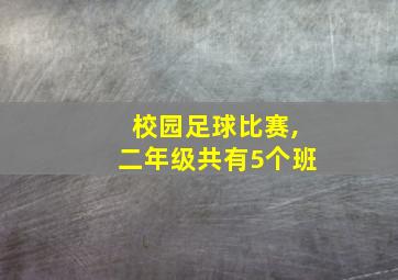 校园足球比赛,二年级共有5个班