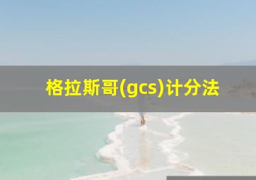 格拉斯哥(gcs)计分法