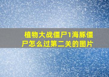 植物大战僵尸1海豚僵尸怎么过第二关的图片