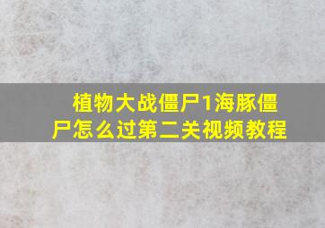 植物大战僵尸1海豚僵尸怎么过第二关视频教程