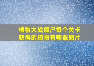 植物大战僵尸每个关卡获得的植物有哪些图片